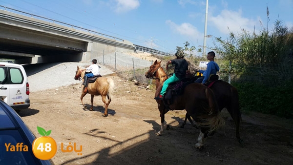 roben tabee3ar (2).JPG